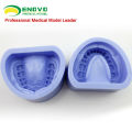DENTAL17 (12597) Modelo de prótesis estándar de goma de silicona para la preparación de la dentición artificial